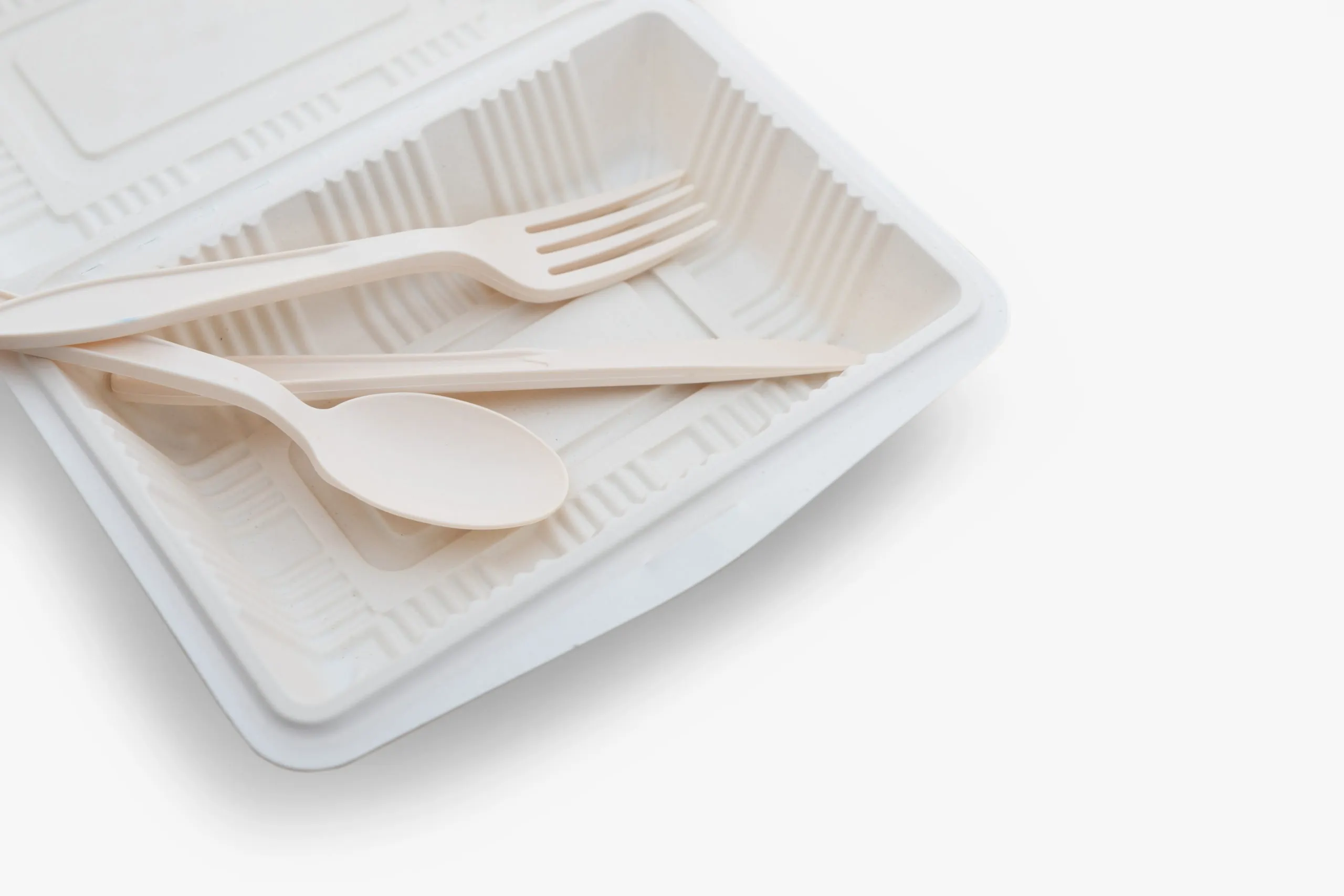 AdobeStock_291089114-scaled