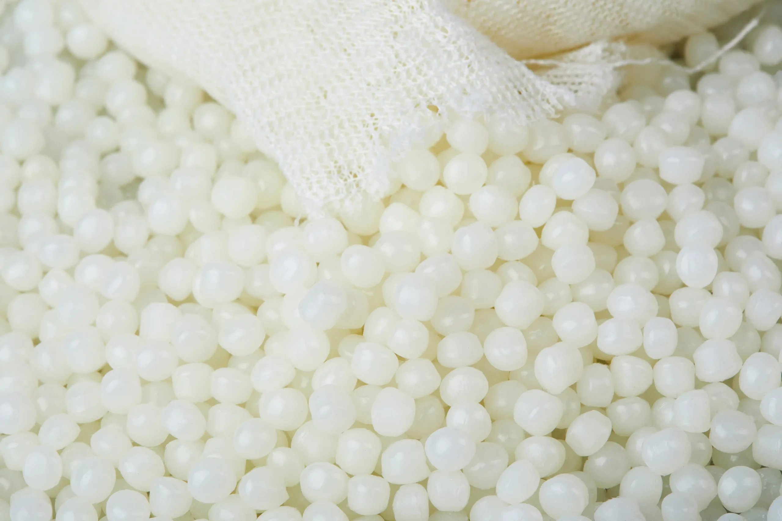 AdobeStock_348304343